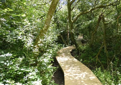 Photo Gallery Image - Boardwalk in Watts Nature Reserve