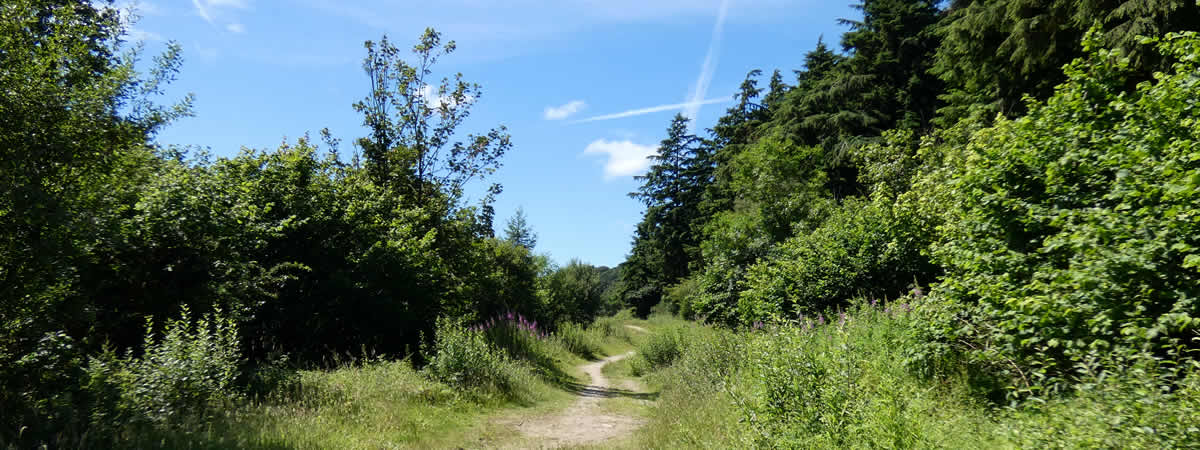 Image 02