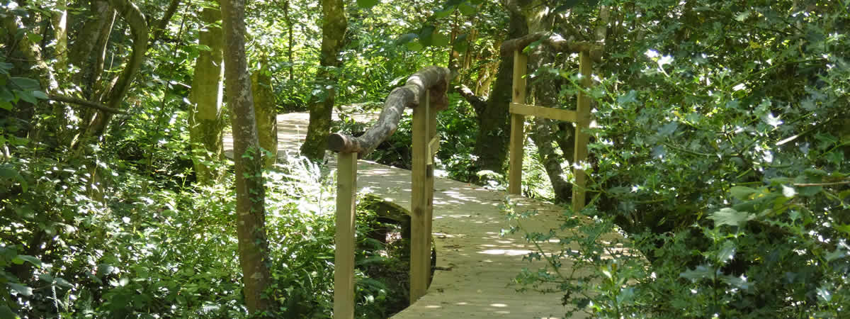 Image 03
