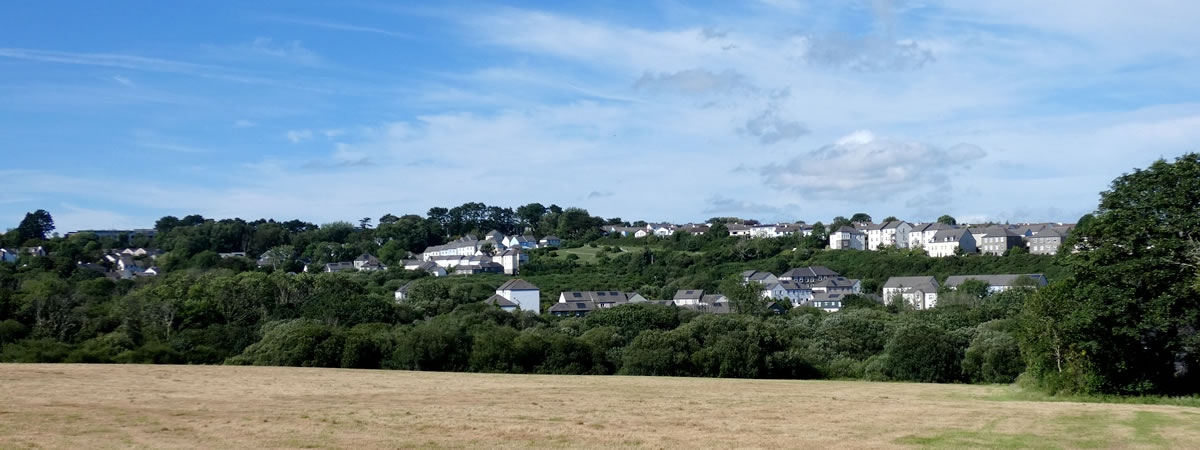 Image 04