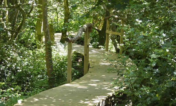 The Boardwalk at Watts Nature Reserve